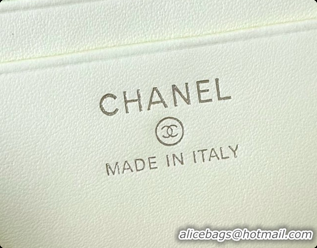 Pretty Style Chanel Vanity with Chain in Quilted Grained Calfskin CH100812 Yellow 2026 