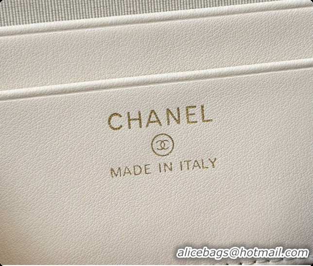 Low Price Chanel Vanity with Chain in Quilted Grained Calfskin CH100803 Beige 2026