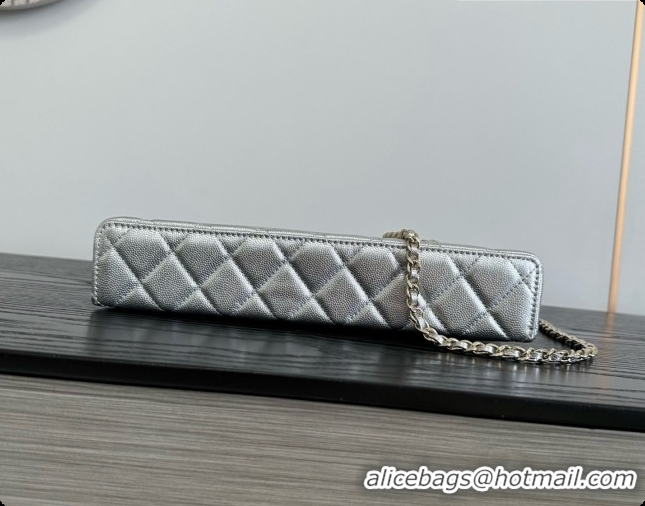Best Grade Chanel Vanity with Chain in Quilted Grained Calfskin CH100804 Silver 2026