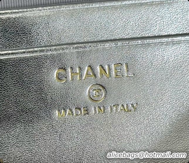 Best Grade Chanel Vanity with Chain in Quilted Grained Calfskin CH100804 Silver 2026