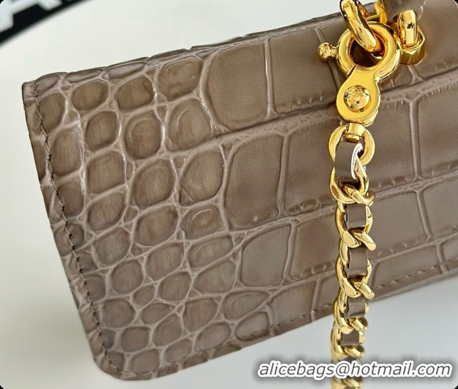 Good Quality Chanel Clutch with Chain in Crocodile Pattern Calfskin AP5280 Grey 2026