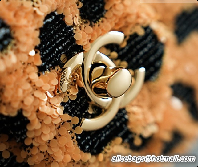 Popular Style Chanel Mini Flap Bag in Sequins CH100917 Leopard 2026