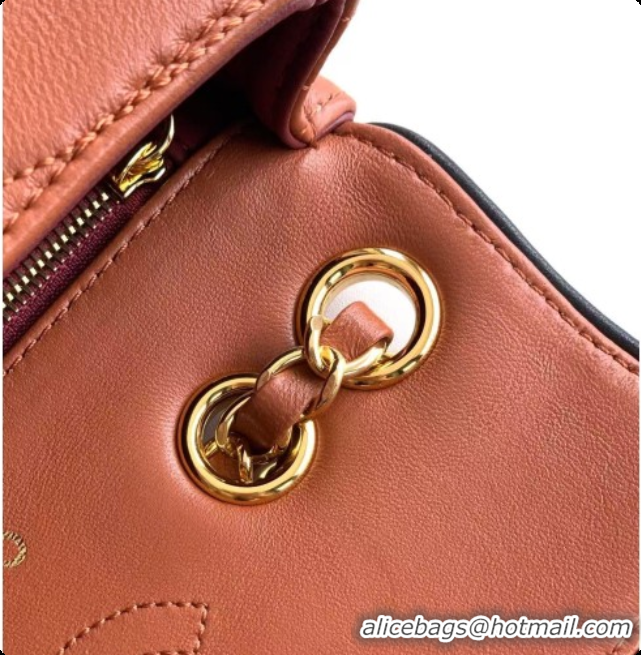 Unique Style Chanel Small Flap Bag in Patinated Lambskin AS6498 Brown 2026
