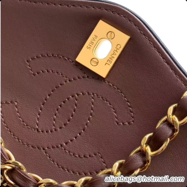 Best Product Chanel Small Flap Bag in Patinated Lambskin AS6498 Dark Brown 2026
