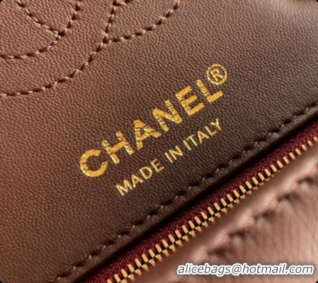 Best Product Chanel Small Flap Bag in Patinated Lambskin AS6498 Dark Brown 2026