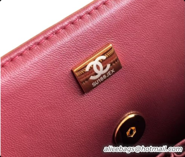 Low Price Chanel Flap Bag in Patinated Lambskin AS6497 Brown 2026