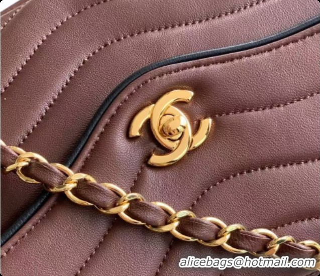 Most Popular Chanel Flap Bag in Patinated Lambskin AS6497 Dark Brown 2026