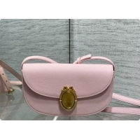 Top Quality Dior Small Dior Médaillon Flap Bag in Pink Grained Calfskin 6072560 2026