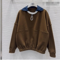 Inexpensive Loewe Cotton Sweatshirt L093046 Brown 2026