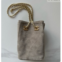 Good Taste Chanel Suede Bucket Bag with Chain AP5359 Grey 2026